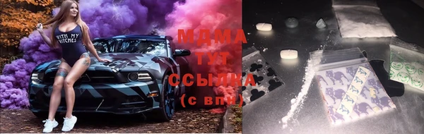 стаф Осташков