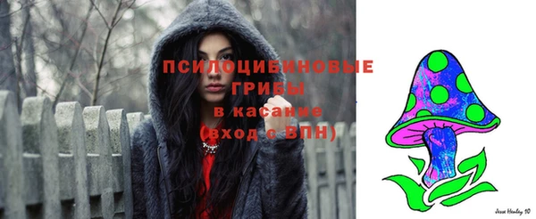 скорость Осинники