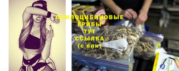 скорость Осинники