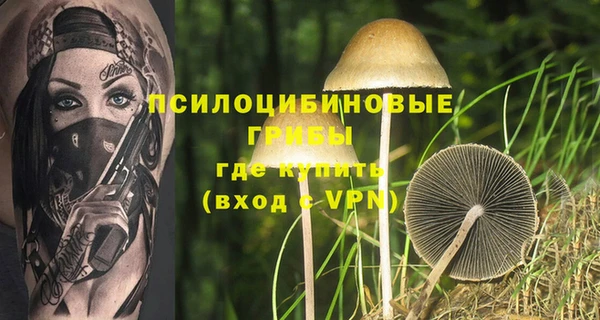 скорость Осинники