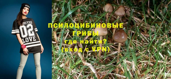 стаф Осташков