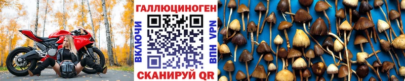 Псилоцибиновые грибы MAGIC MUSHROOMS  закладки  Котельники 