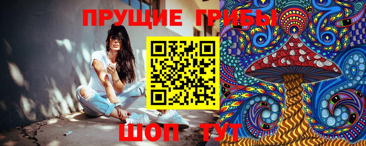 Галлюциногенные грибы Cubensis Котельники